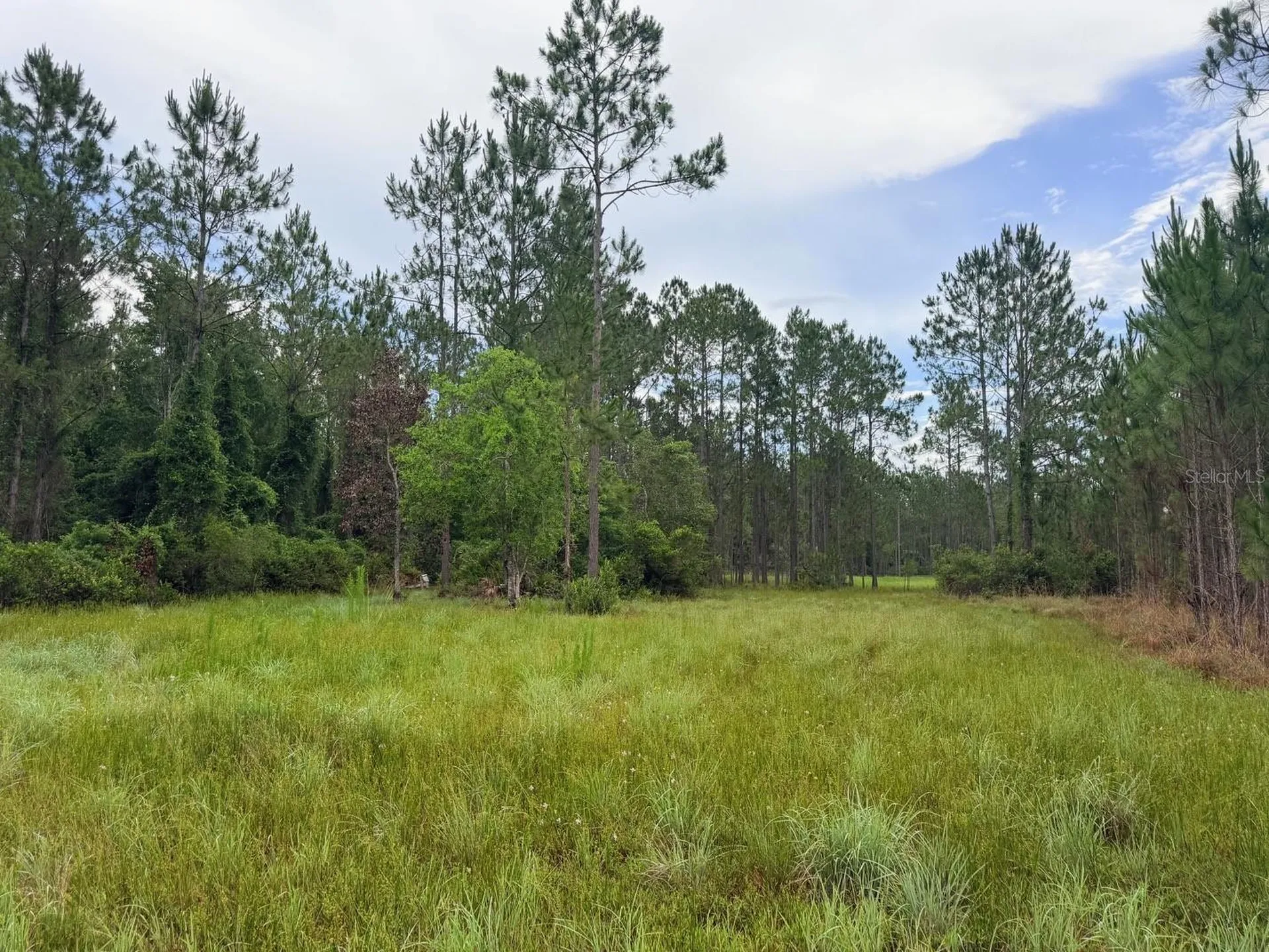 790 NW 42 Terrace Chiefland FL 32626