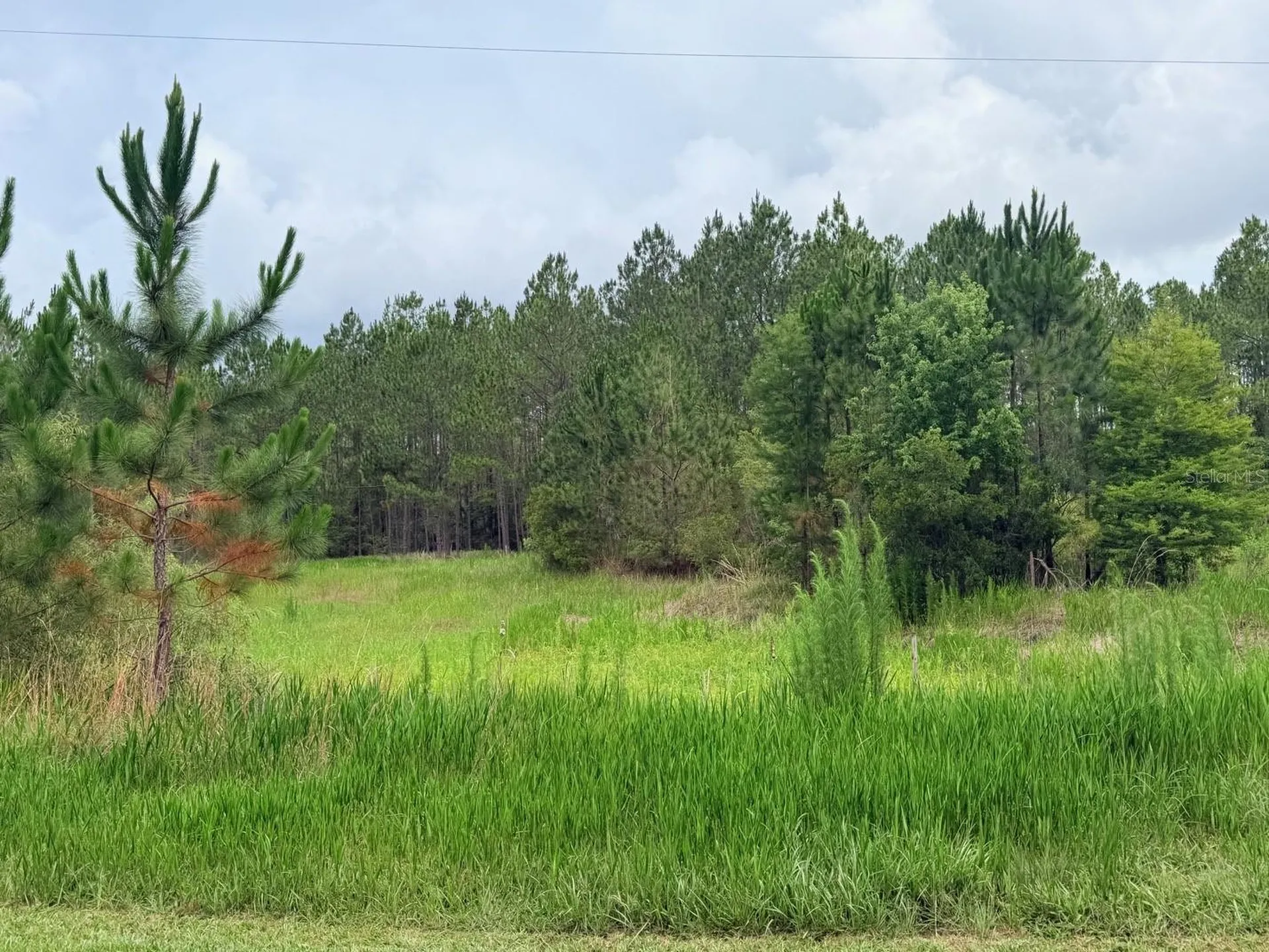 790 NW 42 Terrace Chiefland FL 32626