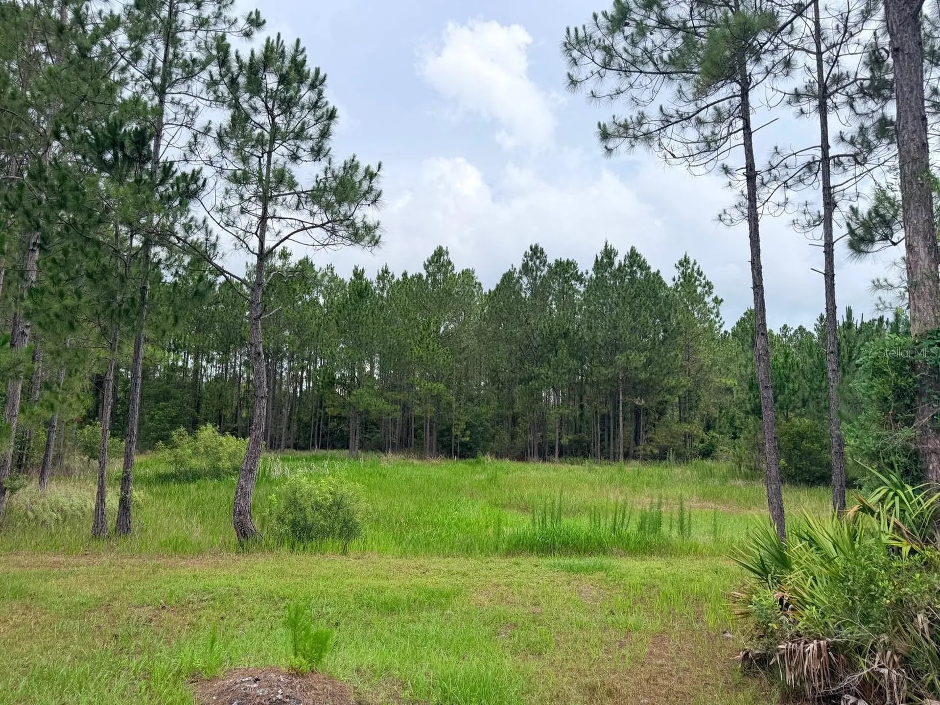 790 NW 42 Terrace Chiefland FL 32626