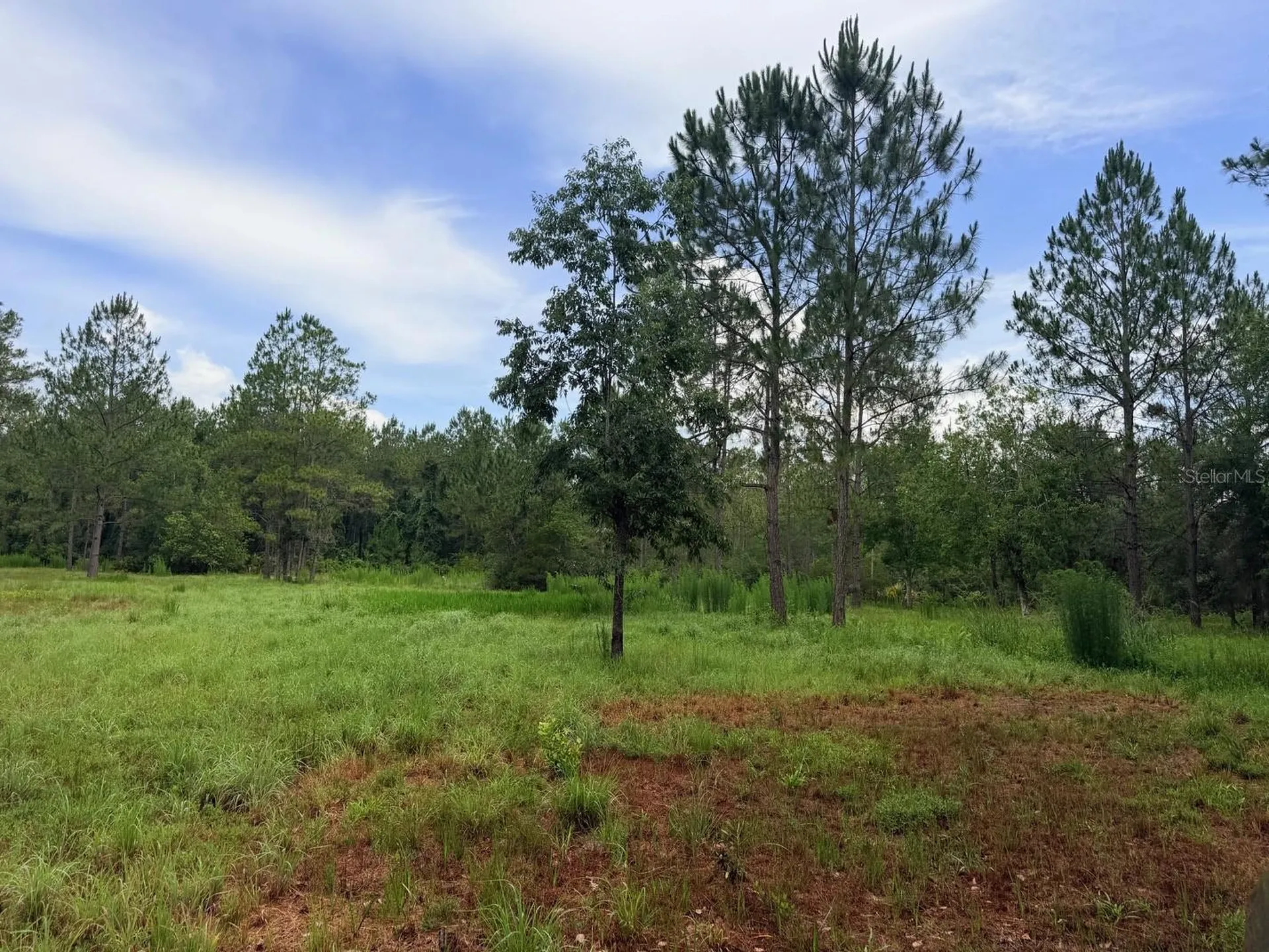 790 NW 42 Terrace Chiefland FL 32626