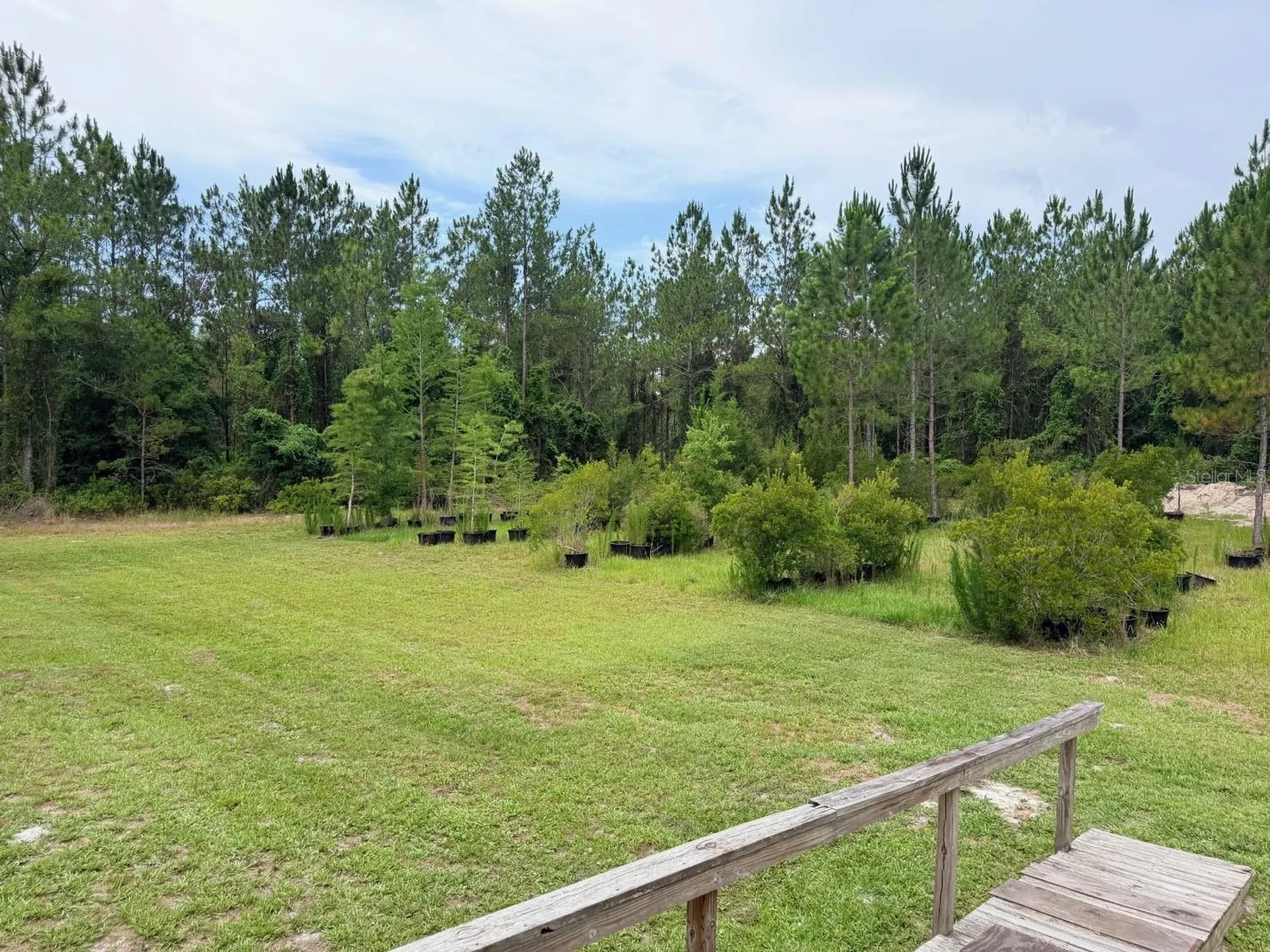 790 NW 42 Terrace Chiefland FL 32626