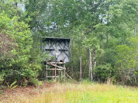 790 NW 42 Terrace Chiefland FL 32626