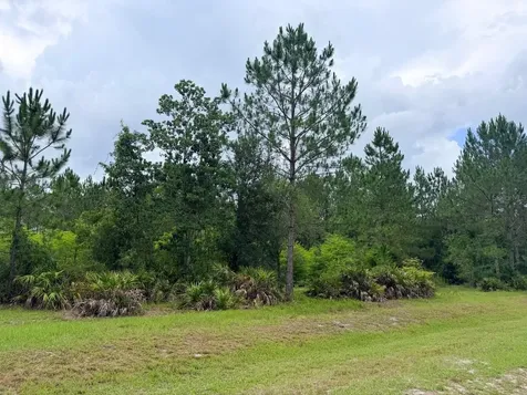 790 NW 42 Terrace Chiefland FL 32626