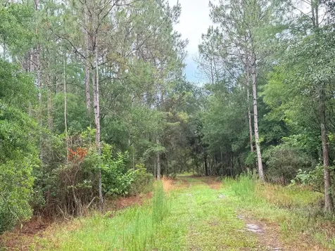 790 NW 42 Terrace Chiefland FL 32626