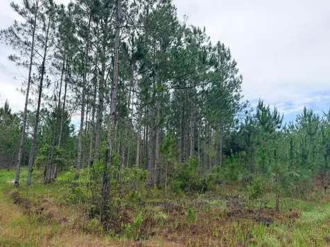 790 NW 42 Terrace Chiefland FL 32626