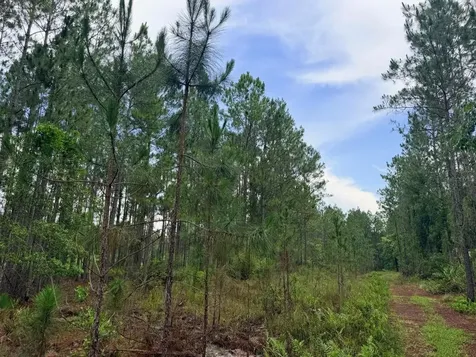 790 NW 42 Terrace Chiefland FL 32626