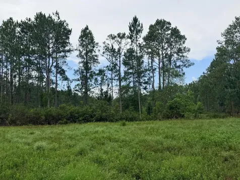 790 NW 42 Terrace Chiefland FL 32626