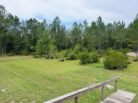 790 NW 42 Terrace Chiefland FL 32626