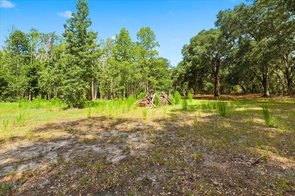 1425 Pioneer Drive Lakeland FL 33809