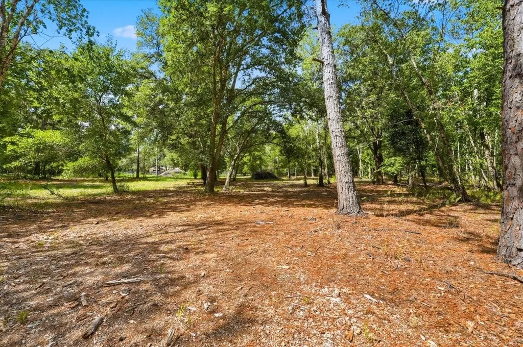 1425 Pioneer Drive Lakeland FL 33809