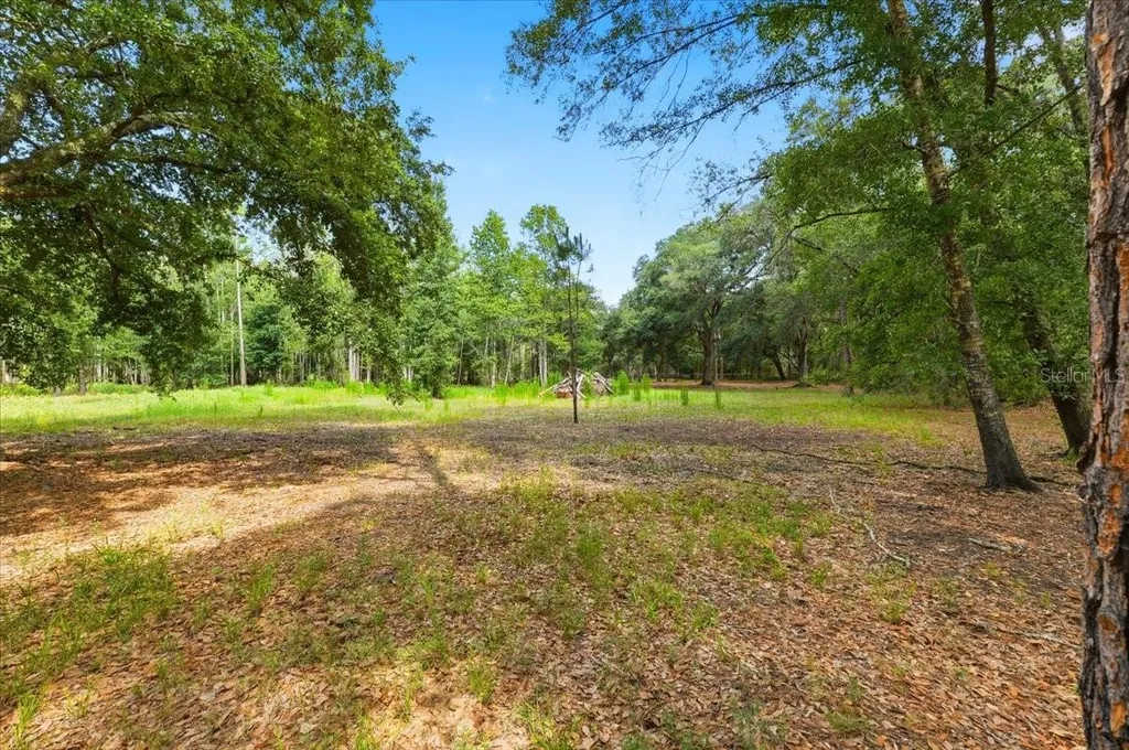 1425 Pioneer Drive Lakeland FL 33809