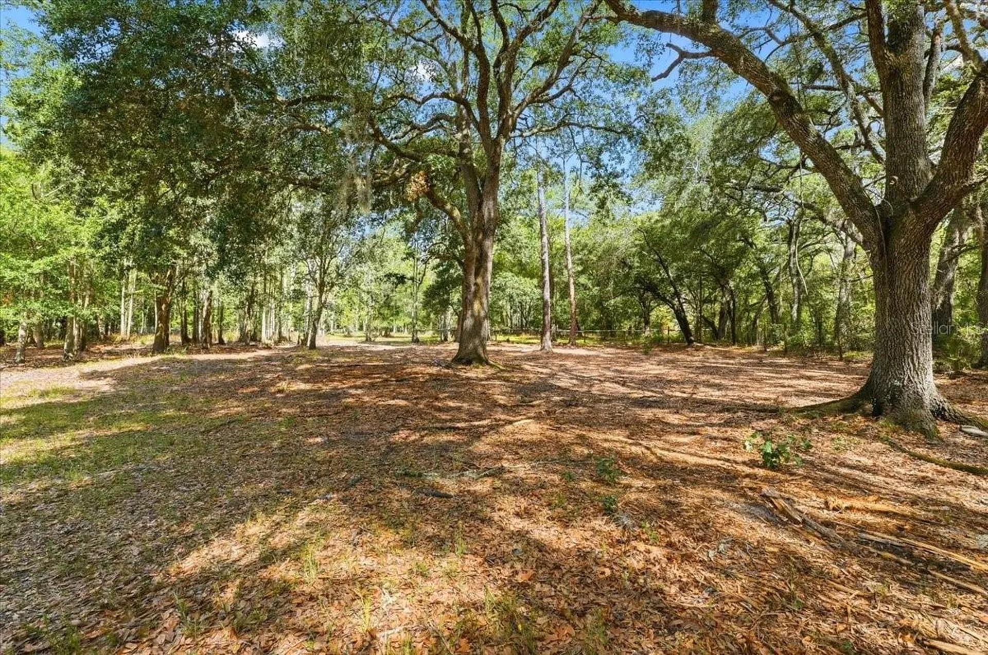 1425 Pioneer Drive Lakeland FL 33809