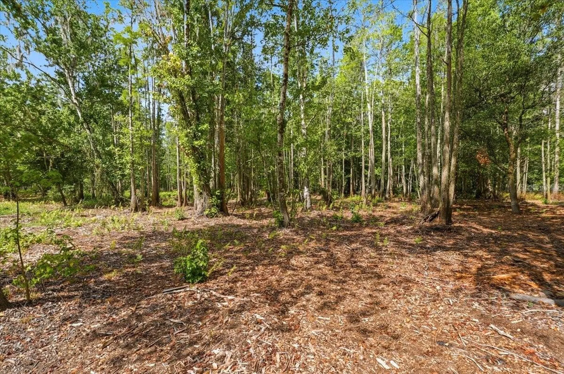 1425 Pioneer Drive Lakeland FL 33809