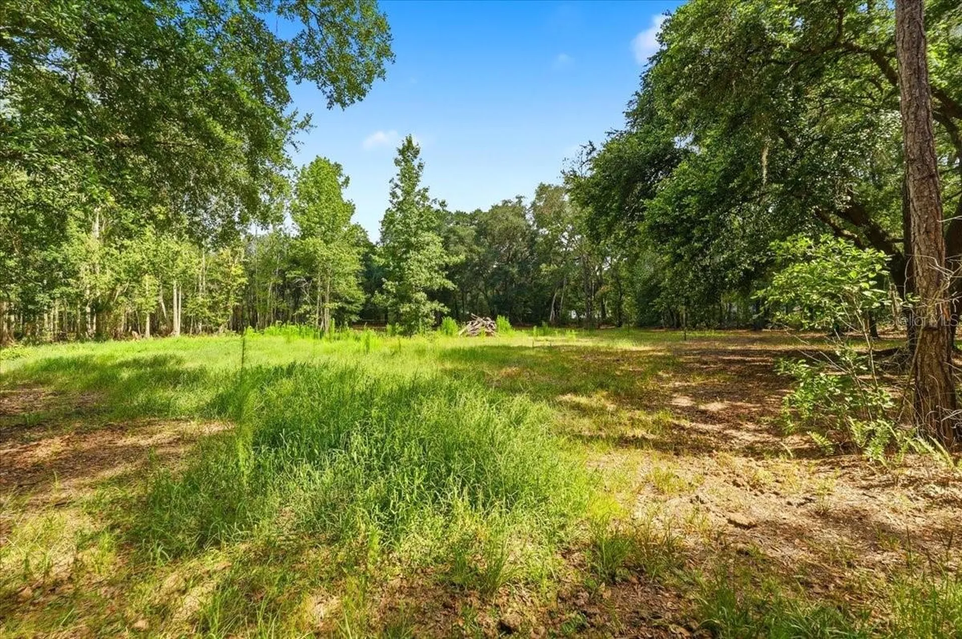 1425 Pioneer Drive Lakeland FL 33809