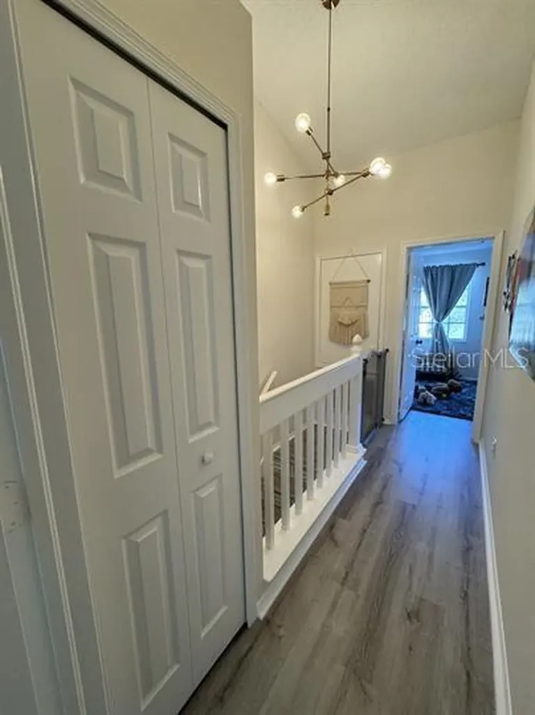 12326 Berkeley Square Drive Tampa FL 33626