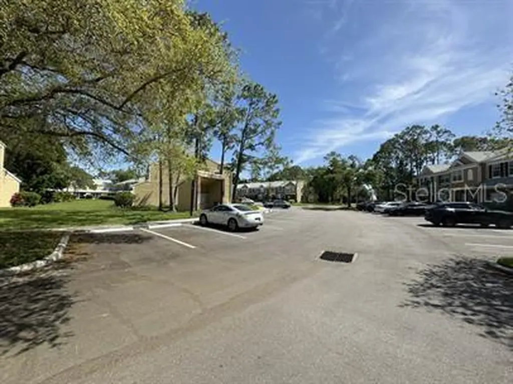 12326 Berkeley Square Drive Tampa FL 33626