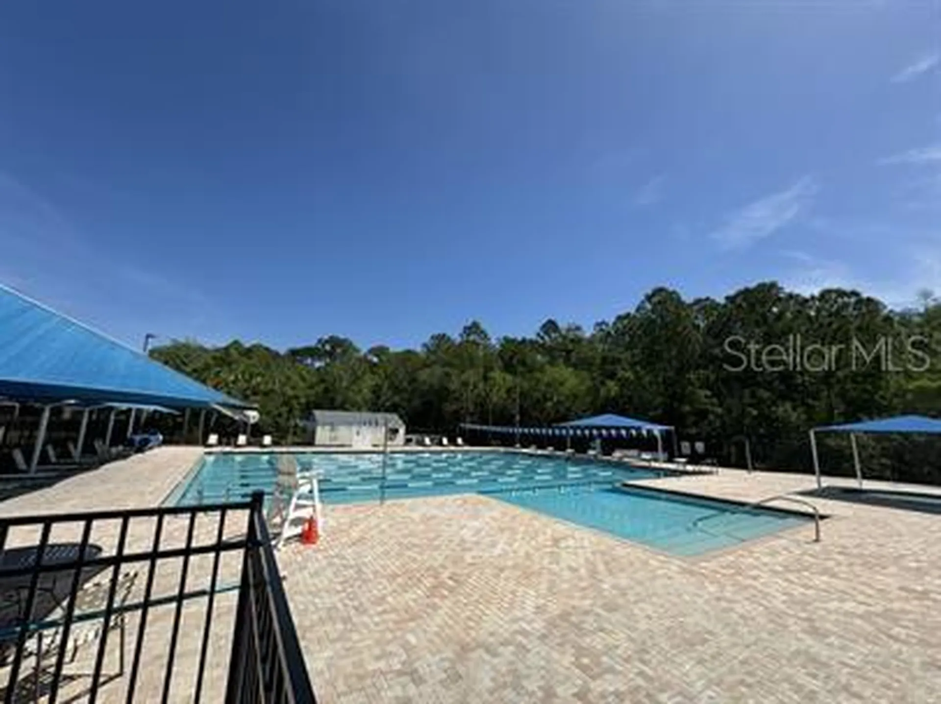 12326 Berkeley Square Drive Tampa FL 33626