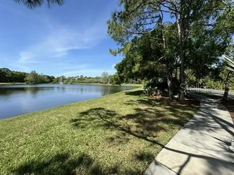 12326 Berkeley Square Drive Tampa FL 33626