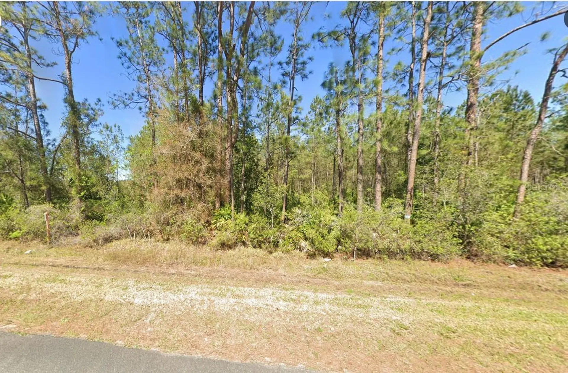 4297 W Highway 100 Bunnell FL 32110