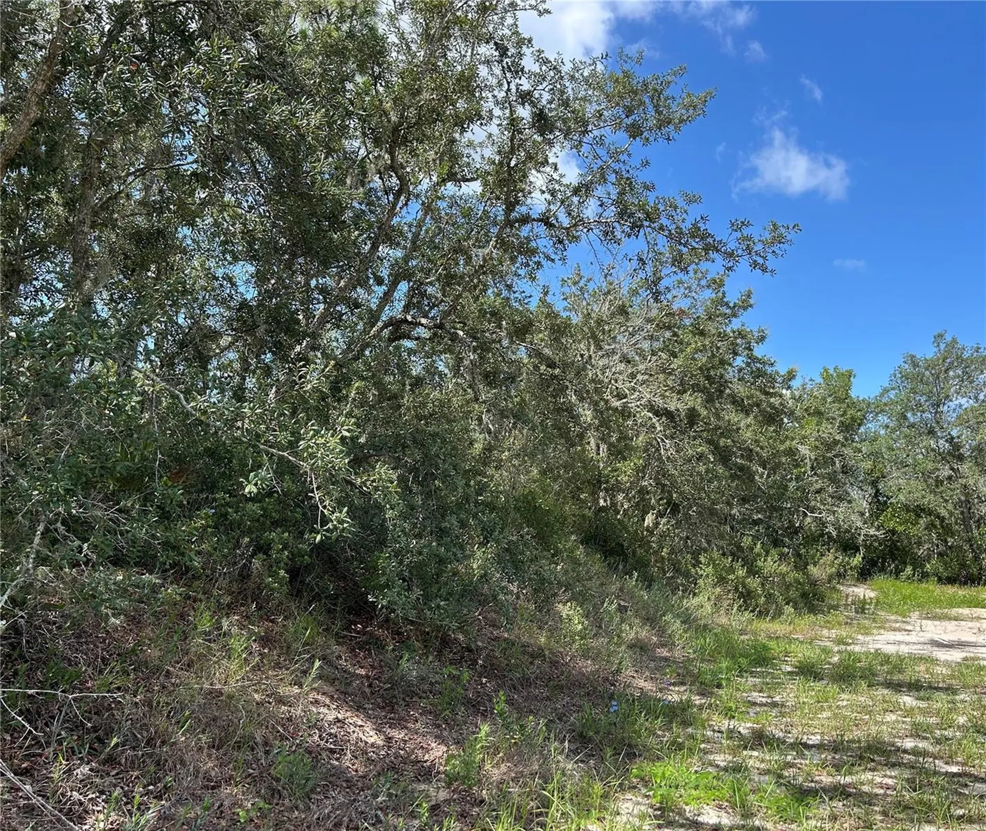 106 Sail Place Kissimmee FL 34759