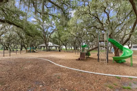12109 Night Jasmine Cove Riverview FL 33579