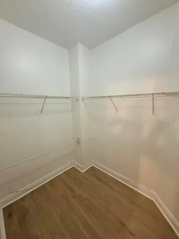 4205 Blue Major Drive Windermere FL 34786