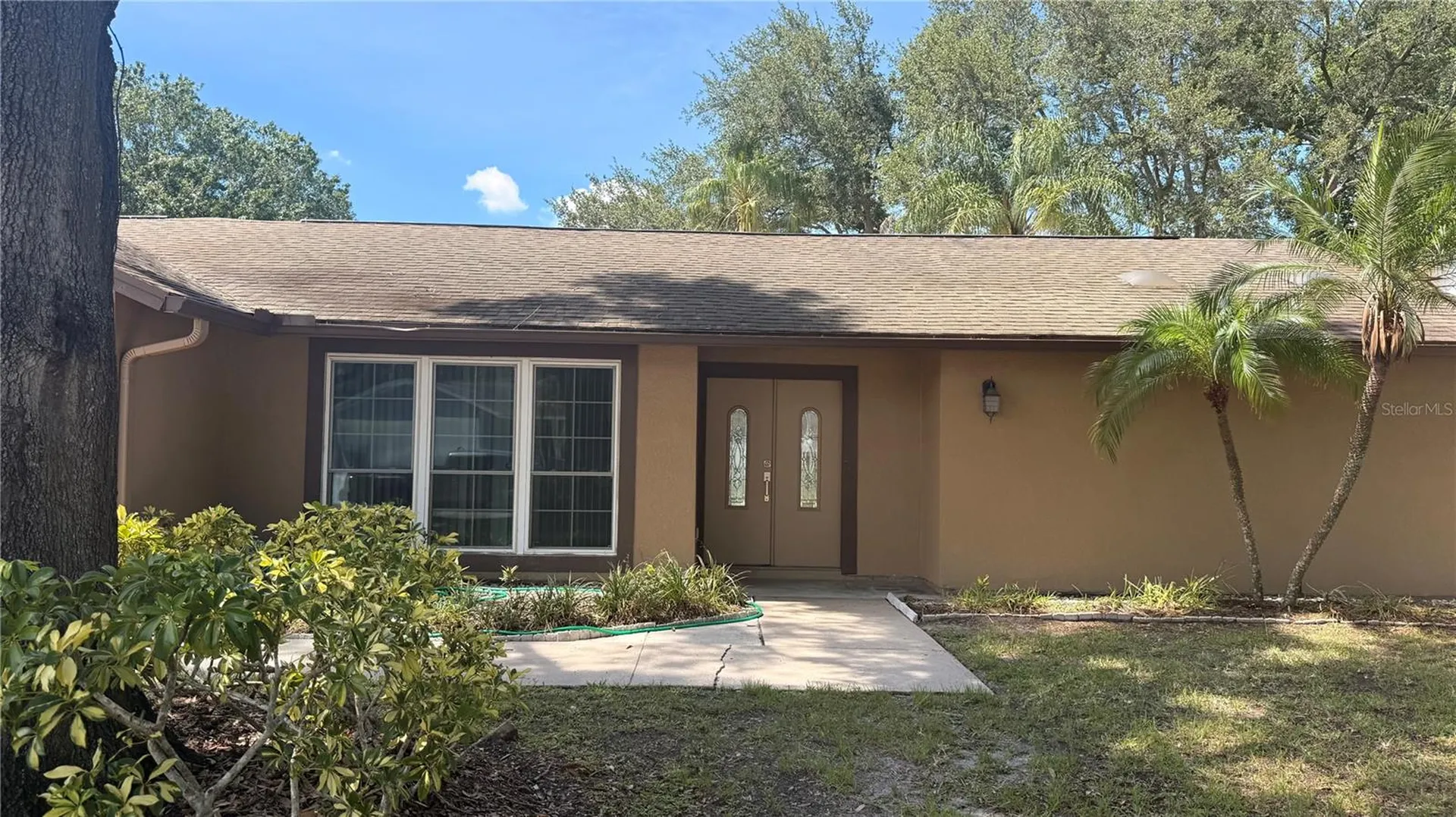 15420 Brushwood Drive Tampa FL 33624