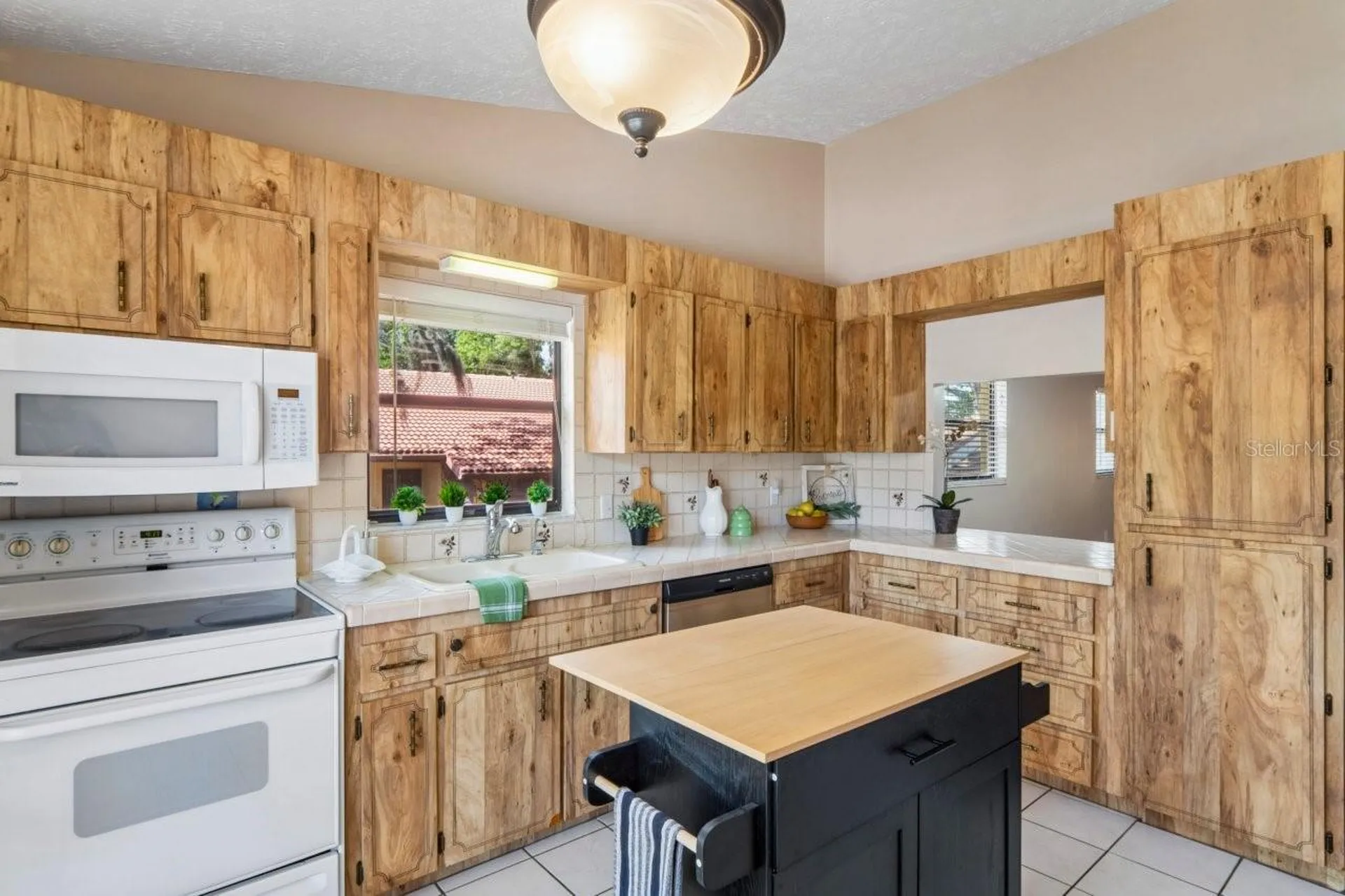 8550 Shadblow Court Port Richey FL 34668