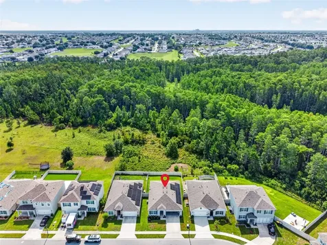 1351 Fox Squirrel Drive Davenport FL 33897