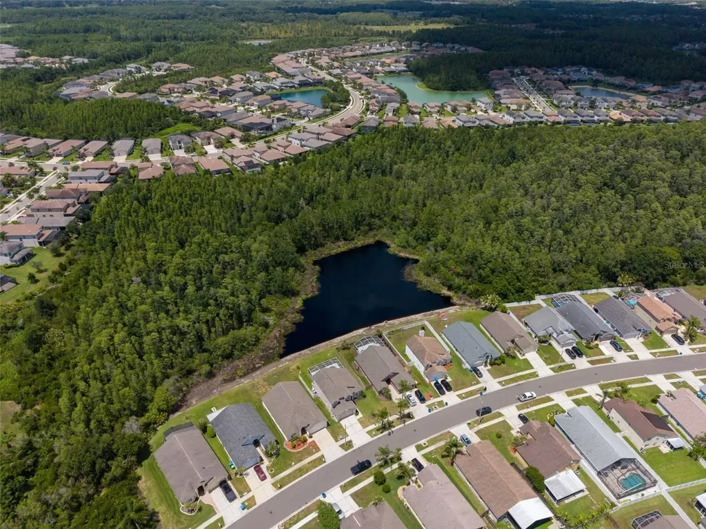 30609 Tremont Drive Wesley Chapel FL 33543