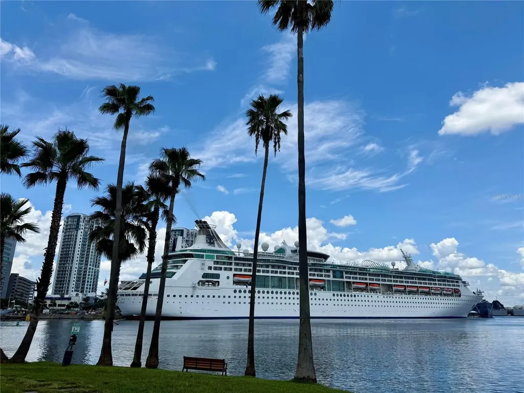 727 Cruise View Drive Tampa FL 33602