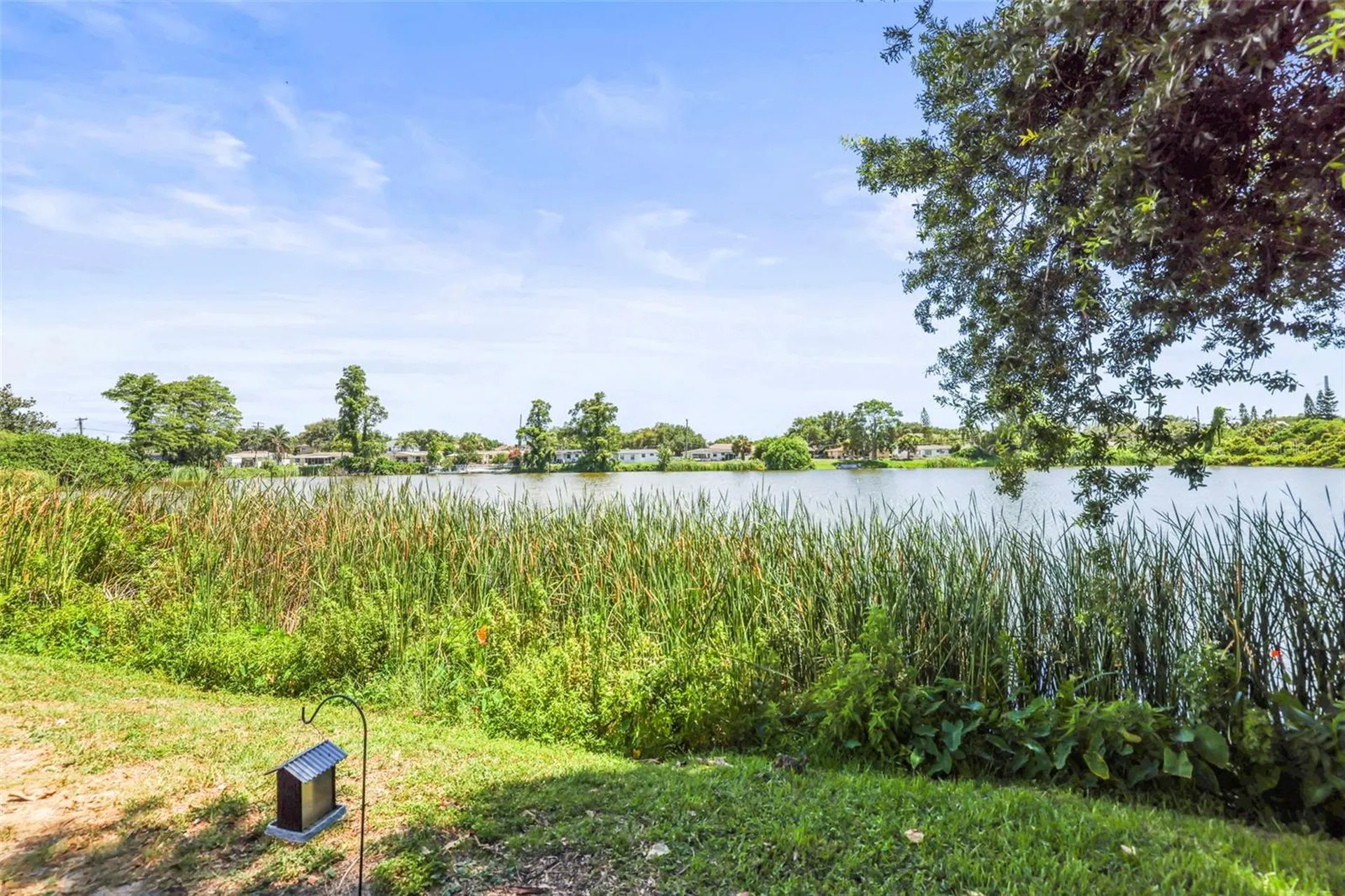 4704 Koala Drive Holiday FL 34690