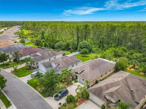 111 S Hummingbird Place Palm Coast FL 32164