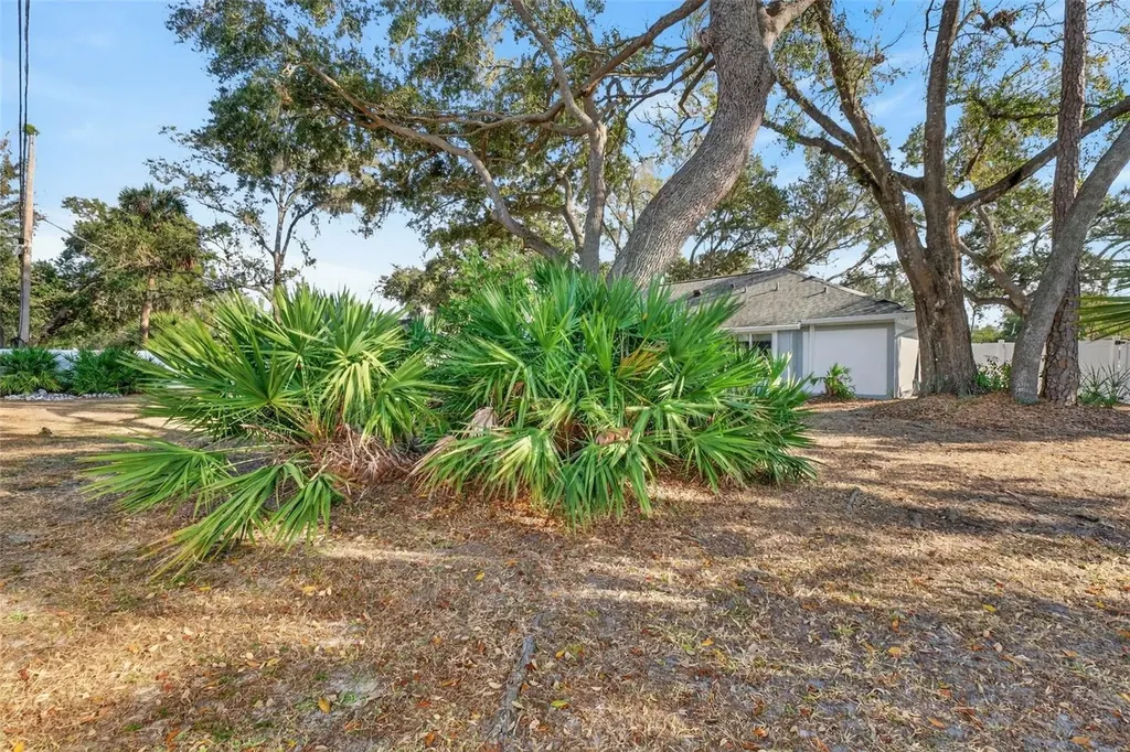 1406 Big Oak Court Brandon FL 33511