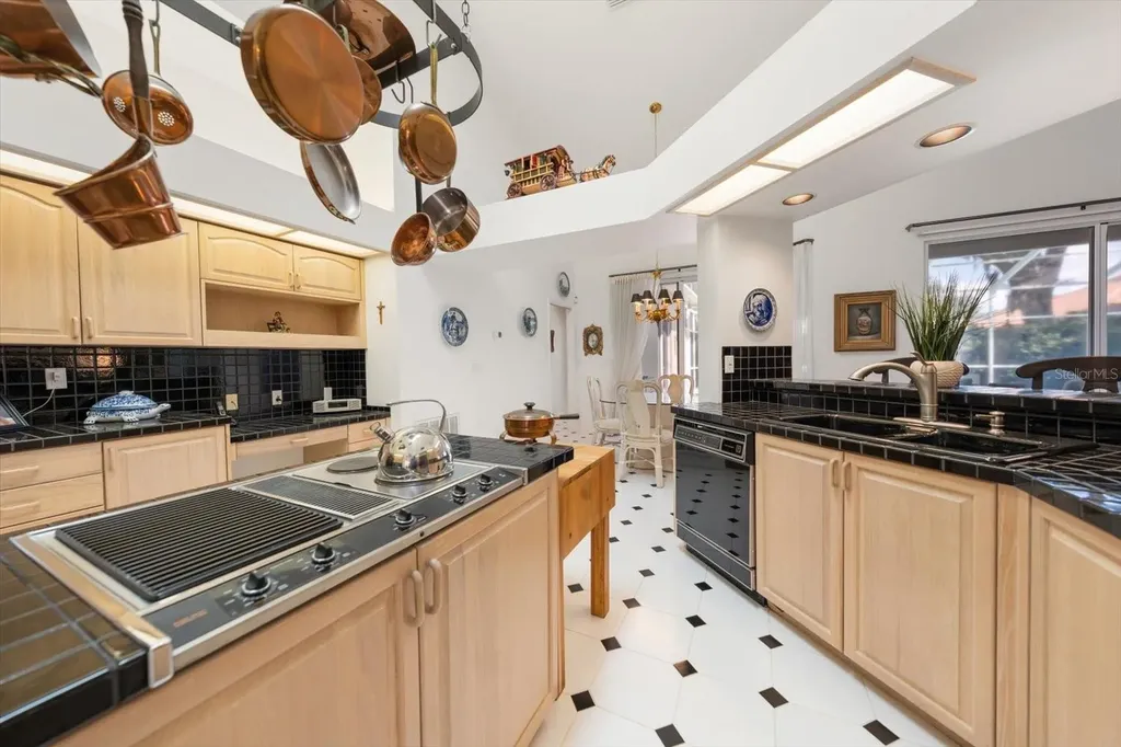 3909 Tarian Court Palm Harbor FL 34684