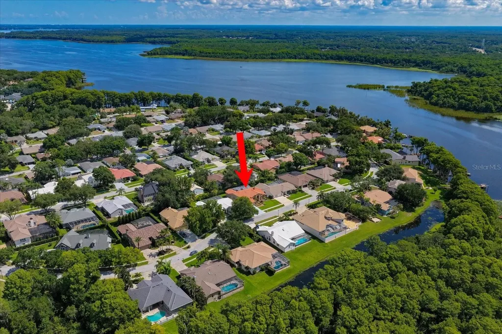 3909 Tarian Court Palm Harbor FL 34684