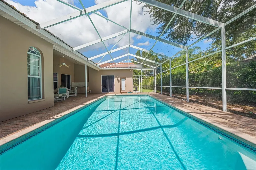 3909 Tarian Court Palm Harbor FL 34684