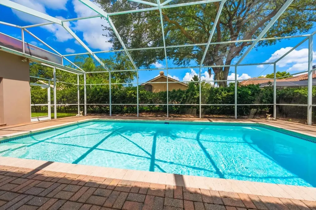 3909 Tarian Court Palm Harbor FL 34684