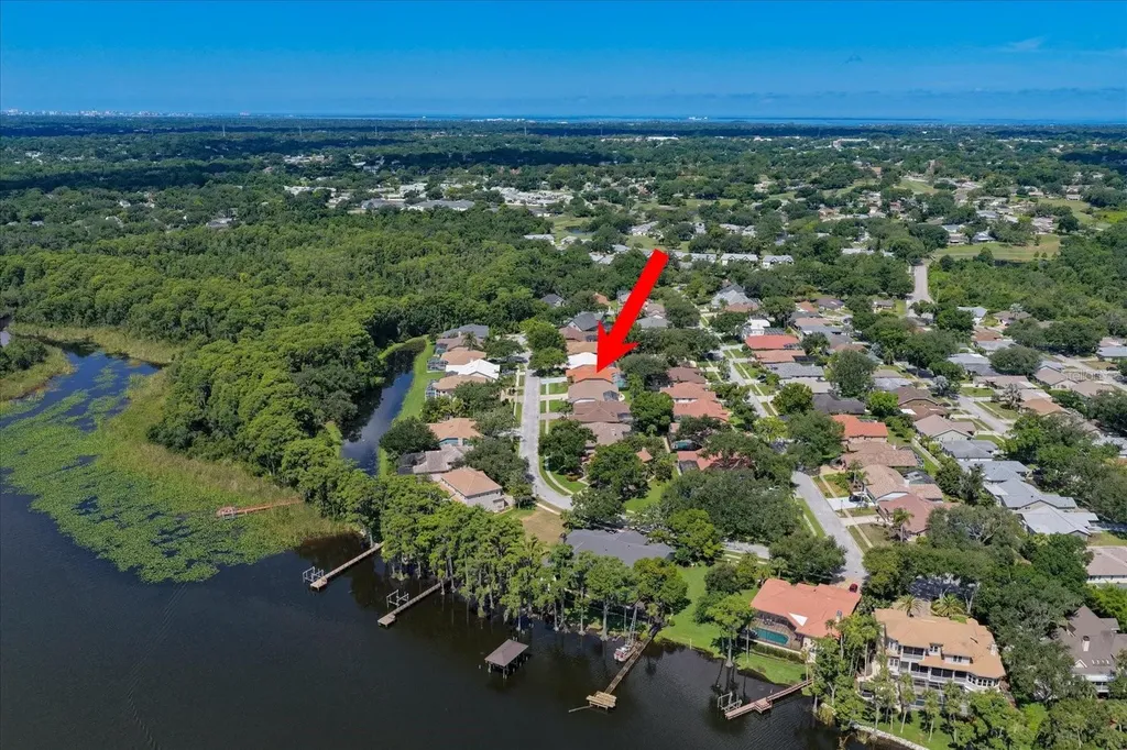 3909 Tarian Court Palm Harbor FL 34684