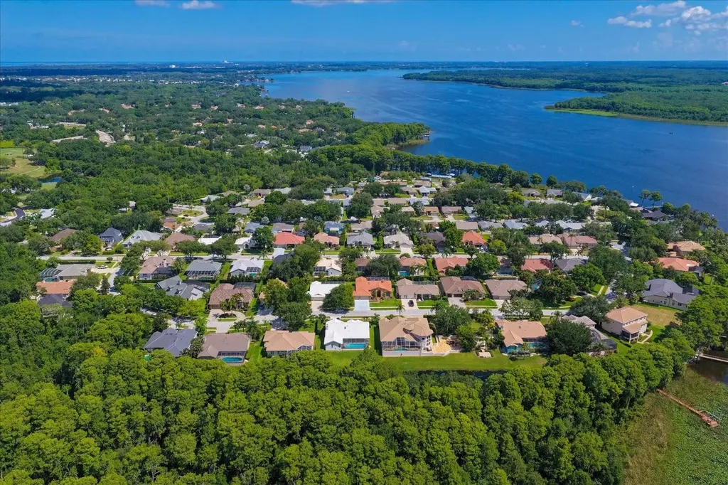 3909 Tarian Court Palm Harbor FL 34684