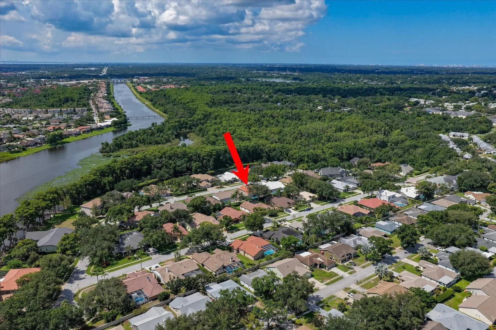 3909 Tarian Court Palm Harbor FL 34684