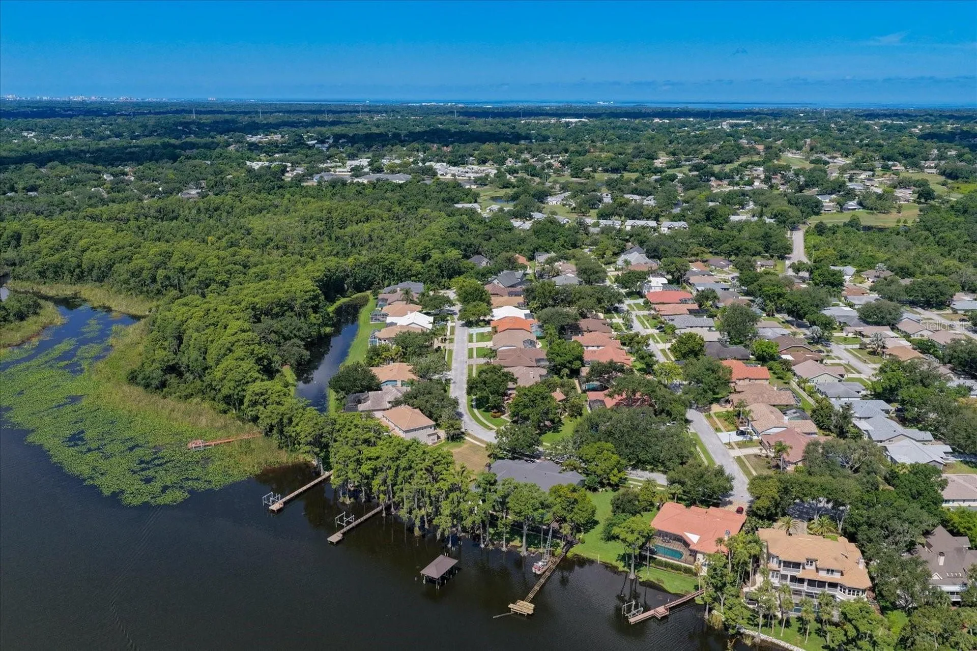 3909 Tarian Court Palm Harbor FL 34684