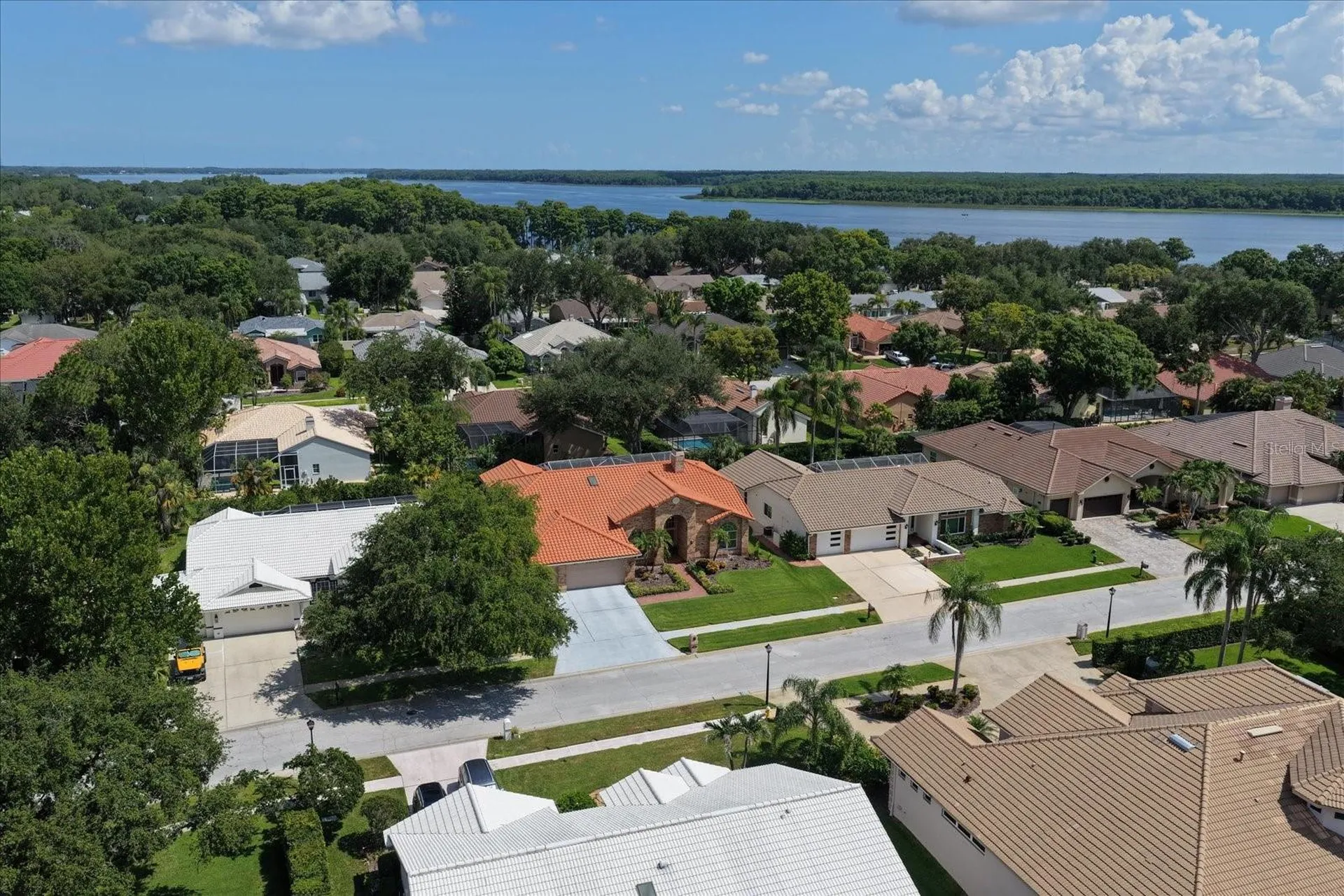 3909 Tarian Court Palm Harbor FL 34684