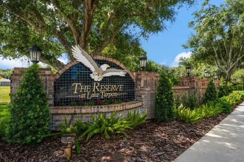 3909 Tarian Court Palm Harbor FL 34684
