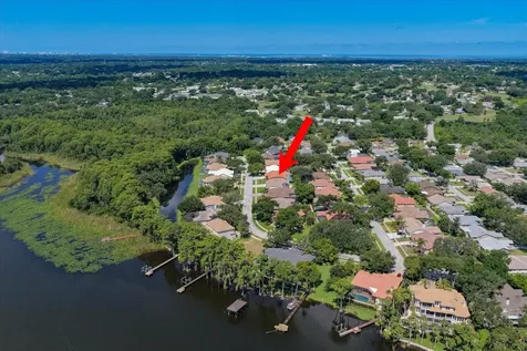 3909 Tarian Court Palm Harbor FL 34684