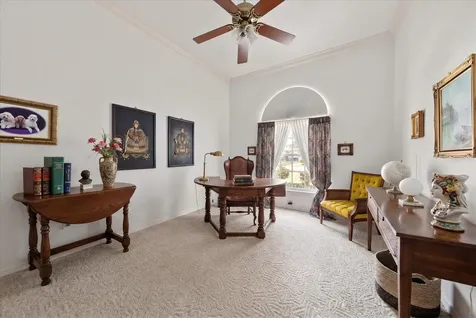 3909 Tarian Court Palm Harbor FL 34684