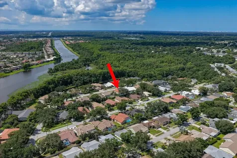 3909 Tarian Court Palm Harbor FL 34684