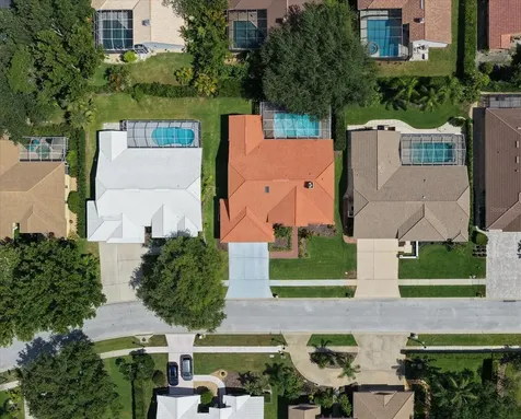 3909 Tarian Court Palm Harbor FL 34684