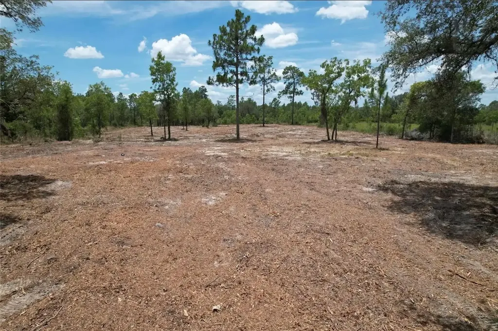 NE 56th Street Bronson FL 32621