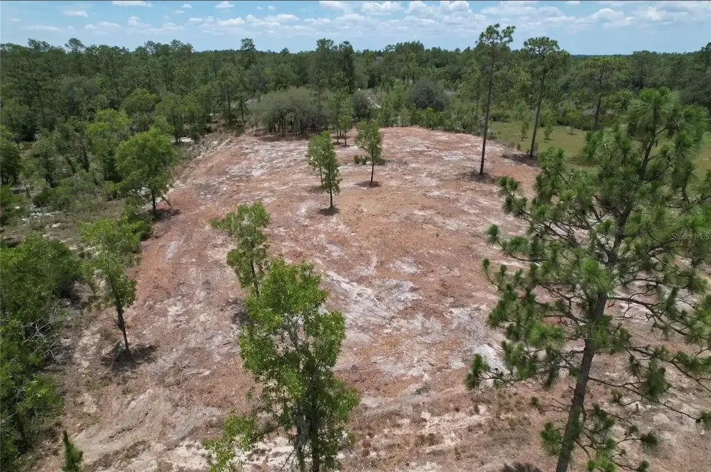 NE 56th Street Bronson FL 32621